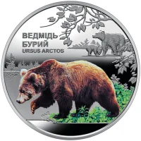 Ведмідь бурий
