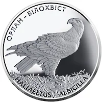 Орлан-білохвіст