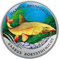 Марена дніпровська