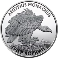 Гриф чорний