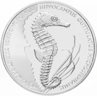 Морський коник