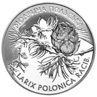 Модрина польська